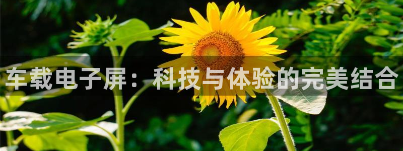 蓝图 游戏：车载电子屏：科技与体验的完美结合